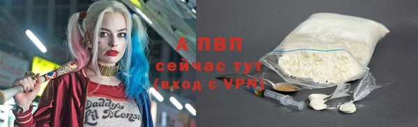 СК Михайловск