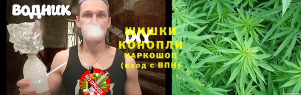 шишки Михайловка