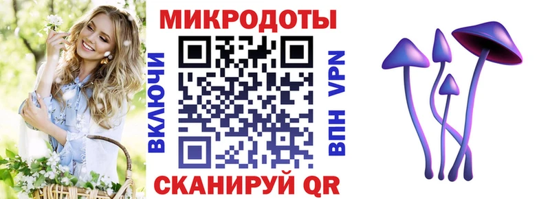 Галлюциногенные грибы Magic Shrooms  Спасск-Рязанский 